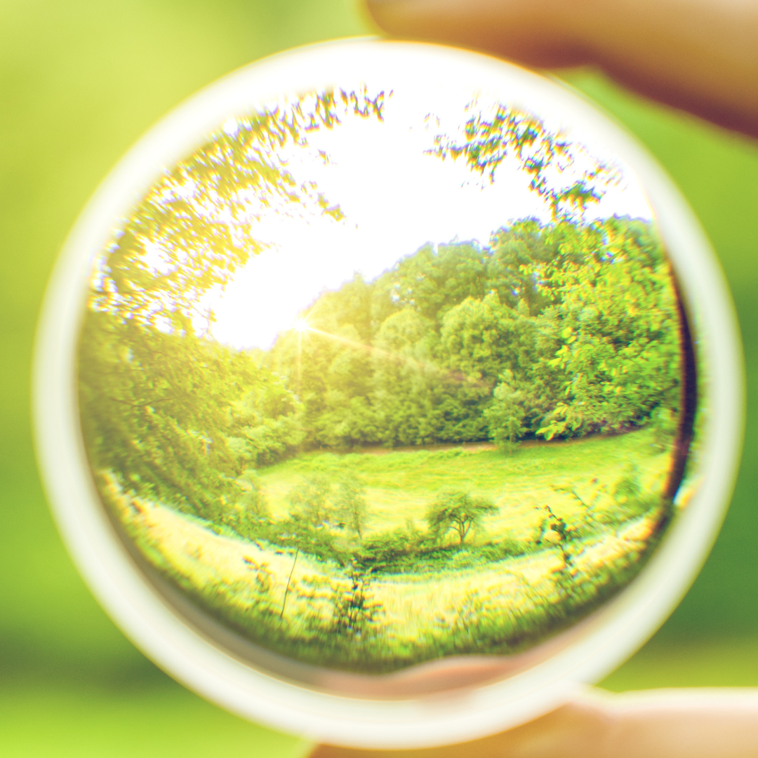 Bifocal Lenses
