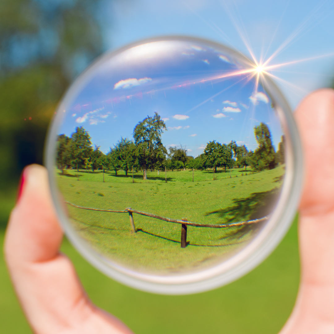 Multifocal Lenses